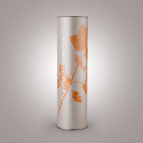 Canister carton - Bouteille Jaillance